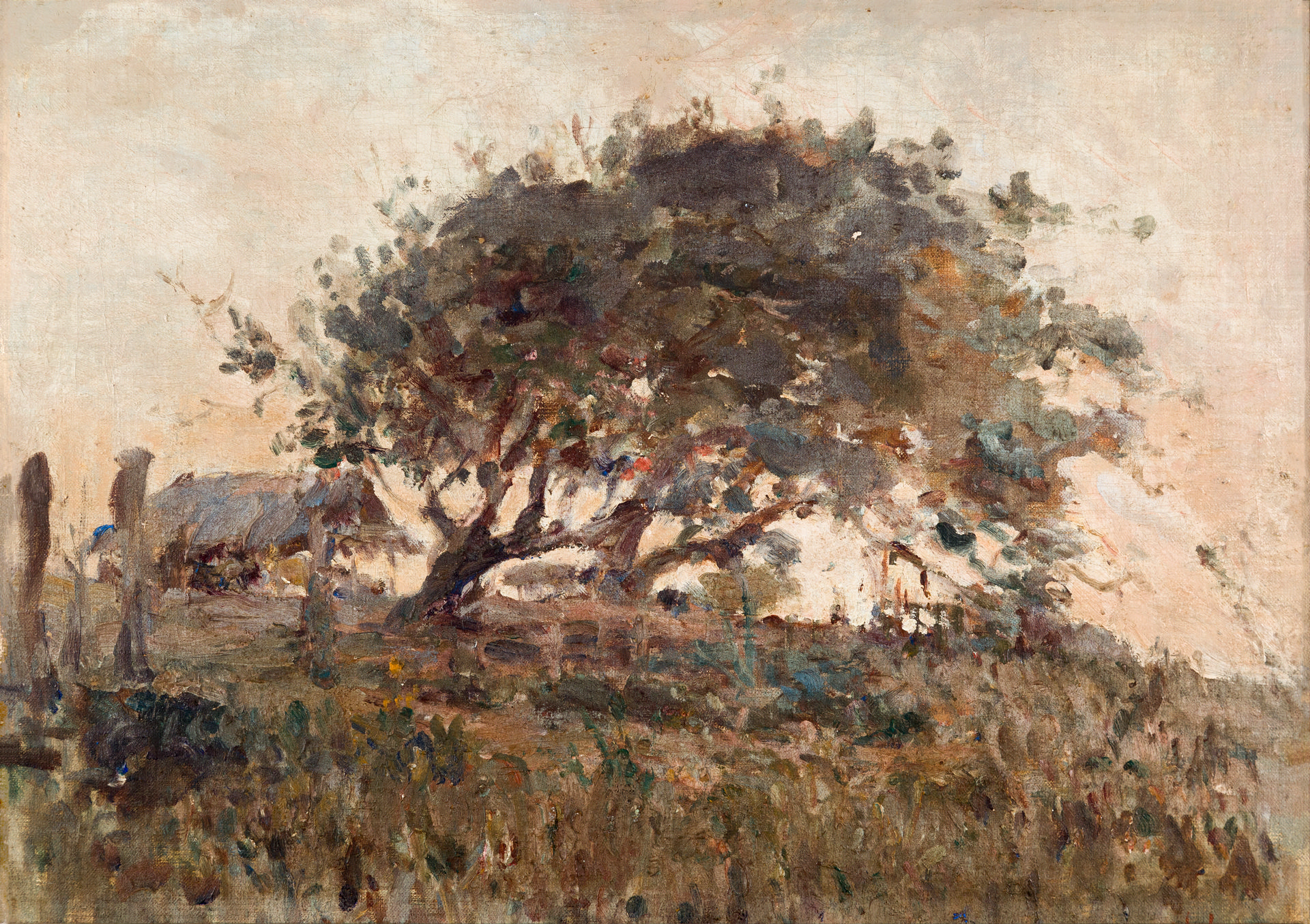 Landscape with Cashew tree
