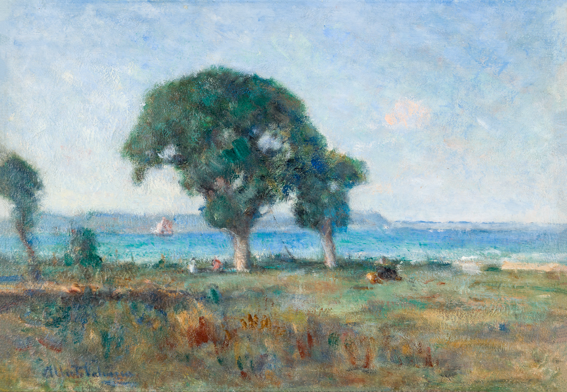 Tamarind Trees at Penha