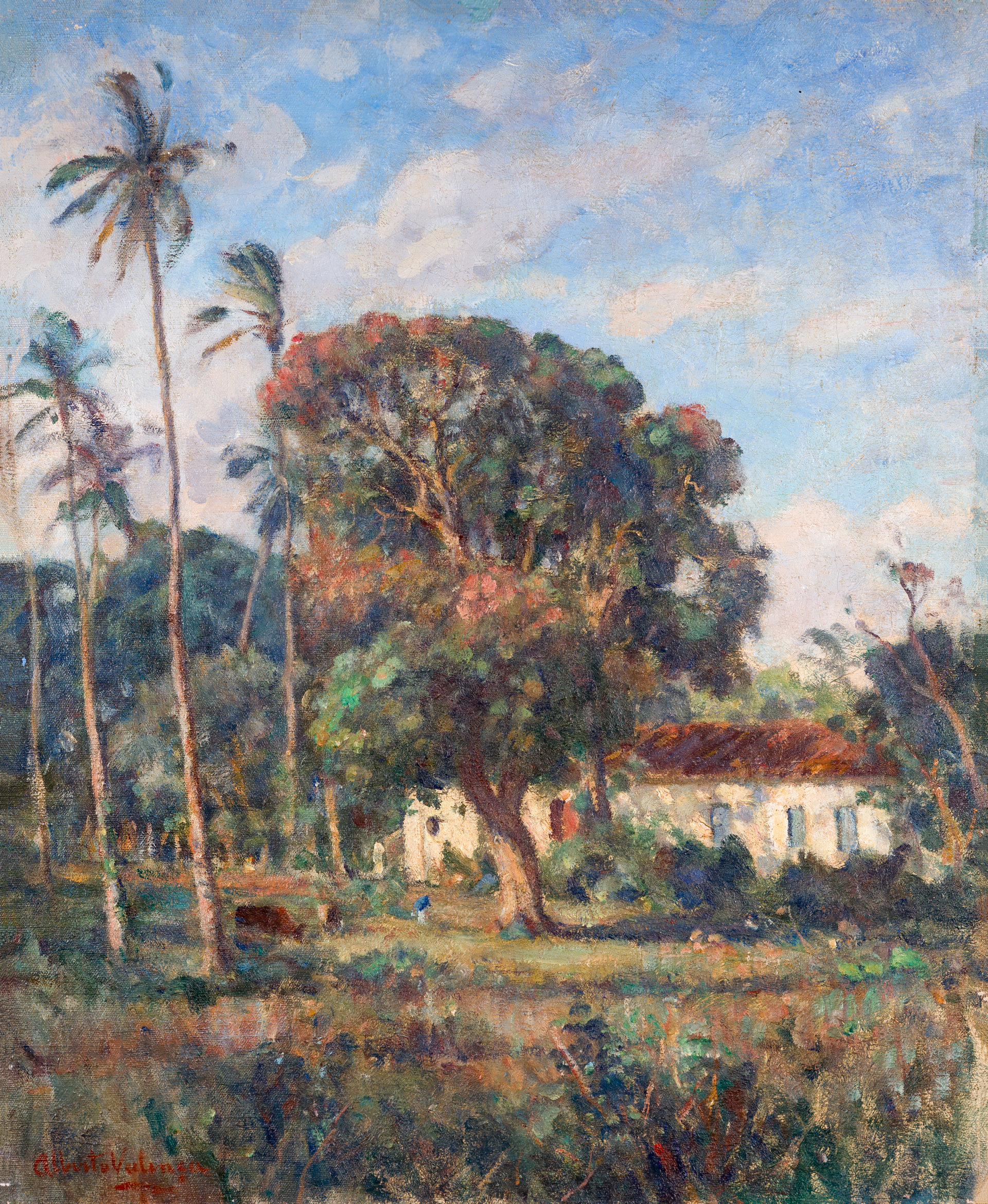 Madre de Deus Landscape