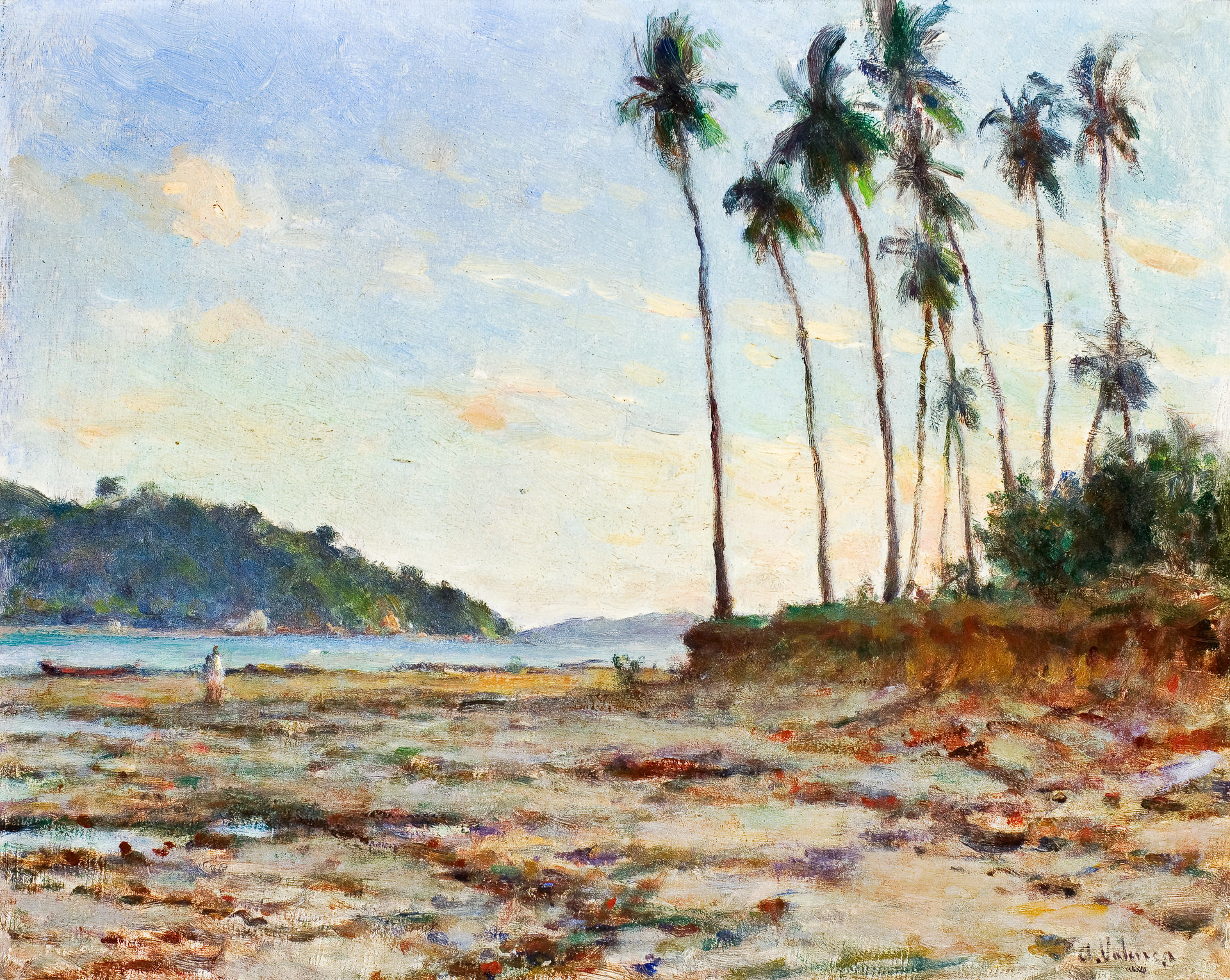 Coconut Trees in Madre de Deus